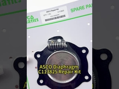 ASCO C113825 Kit de réparation de remplacement pour Asco 1 1/2 