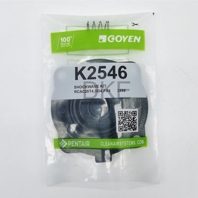 Les équipements d'entretien des soupapes à impulsion de type Goyen 2546 K2549 RCAC25 Série T3, DD3, FS3,