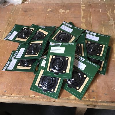 Goyen RCAC20 Kit d'entretien de type K2034 Série T4, ST4, DD4, FS4 Matériau nitrile haut de gamme