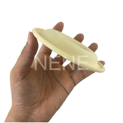 3/4" pouces 93465 93111 DN20 Pompes Ingersoll Rand Diaphragmes Santoprene/PTFE Kit de réparation du diaphragme PD07P-APS-PAA PD07P-APS-PTT
