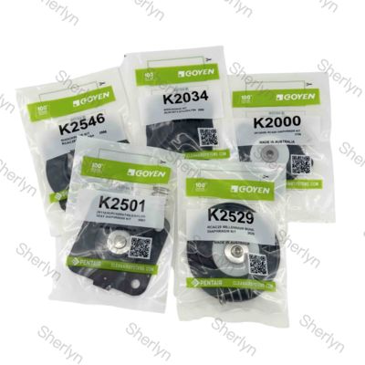 K2000/K2002/K2007 GOYEN CA20T Diaphragme en caoutchouc 3/4 pouces Réparation du diaphragme de la soupape à impulsion