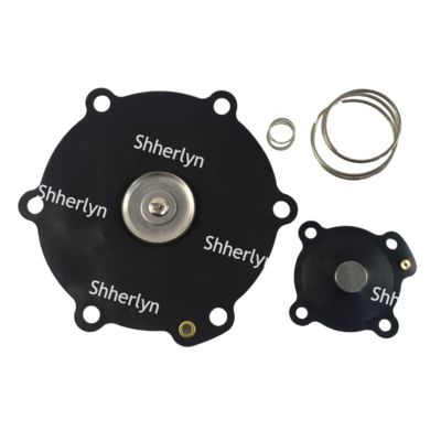 Kit de réparation de diaphragme Mecair 2 pouces DB116 DB16 VNP216 VEM216 VNP316 VITON Personnalisation