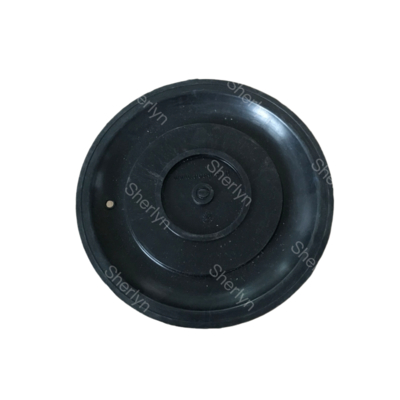 AE2818B Membrane de vanne à impulsions avec matériau TPE, taille de port 3/4'' Modèle adapté