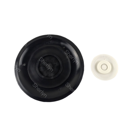 AE2818B Membrane de vanne à impulsions avec matériau TPE, taille de port 3/4'' Modèle adapté