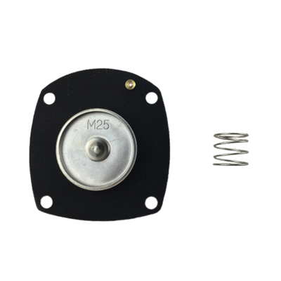 Kit d'entretien professionnel pour une soupape à impulsions montée modèle AE1818B à port 3/4'