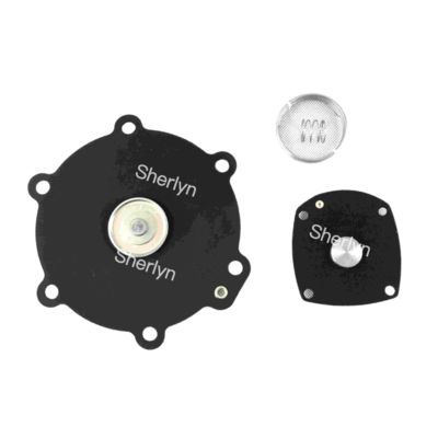 M50 Kit de réparation du diaphragme Turbo 2" DN50 FP55 FM55 SQP50 SQM60