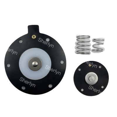 DMF-Z-40S BFEC Sac avec diaphragme DMF-Z-40S Kit de réparation de diaphragme de vanne à impulsions électromagnétiques 1,5 pouce