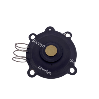 Kit de réparation de diaphragme ASCO C131606 adapté aux électrovannes SCE238D004 SCE238D009, diaphragme NBR/VITON
