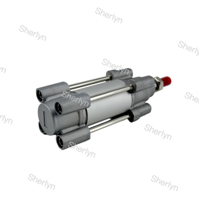 RA/802032/M/125 Cylindre à double effet 32mm de diamètre, course de 125mm