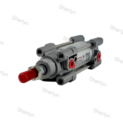RA/802032/M/125 Cylindre à double effet 32mm de diamètre, course de 125mm