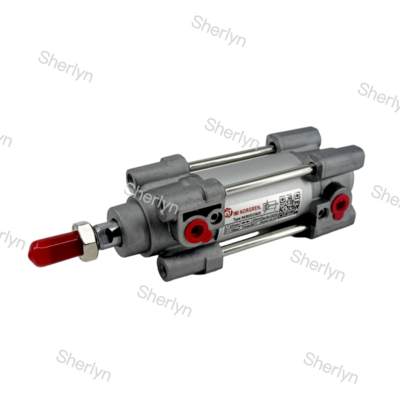 RA/802032/M/125 Cylindre à double effet 32mm de diamètre, course de 125mm