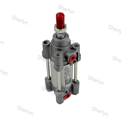 RA/802032/M/125 Cylindre à double effet 32mm de diamètre, course de 125mm