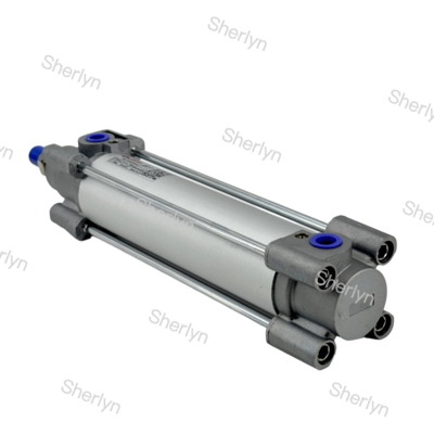 Vérin pneumatique à piston Norgren à double effet RA/802040/M/75