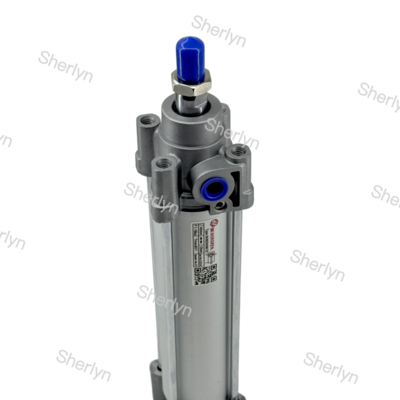 Vérin pneumatique à piston Norgren à double effet RA/802040/M/75