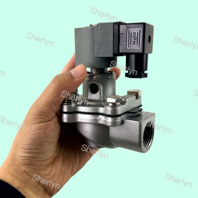 Vanne à jet pulsé de type Goyen 3/4 pouce CA20T CA20T010-300 CA20T010-305