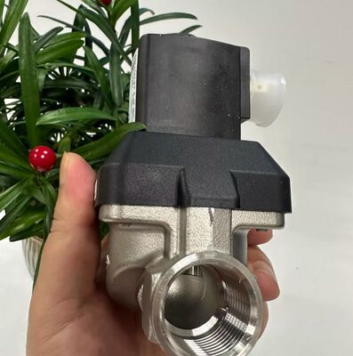 BurkeRT 6213EV 00222168 00222169 00222170 Valve solénoïde normalement fermée Valve solénoïde en acier inoxydable Valve de commande pneumatique