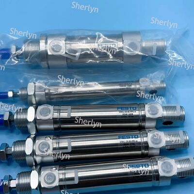 FESTO Ronde mini-bouteille DSNU-12-10-P-A 19189