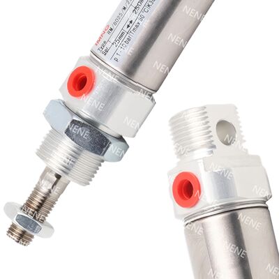 Course Long Ø10mm 100mm RM/28010/100 NORGREN Actionneur Pneumatique Compact Simple Effet Option Magnétique