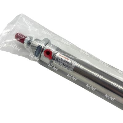 Vérin compact à piston magnétique RM/28012/M/20 Ø12mm Course 20mm NORGREN ISO 6432 Préparé pour retour de position