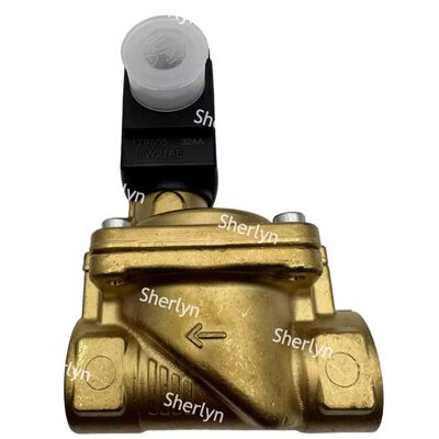 Valve électromagnétique Burkert 00221930 6281 Type G3/4 2/2 Généralement ouverte DC24V