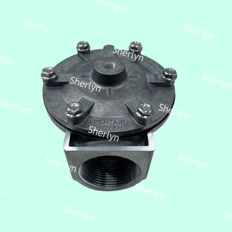 Ventilateur à impulsion GOYEN RCA35T RCA32T 1,5 pouce Ventilateur à impulsion électromagnétique Ventilateur à pulvérisation Ventilateur pneumatique