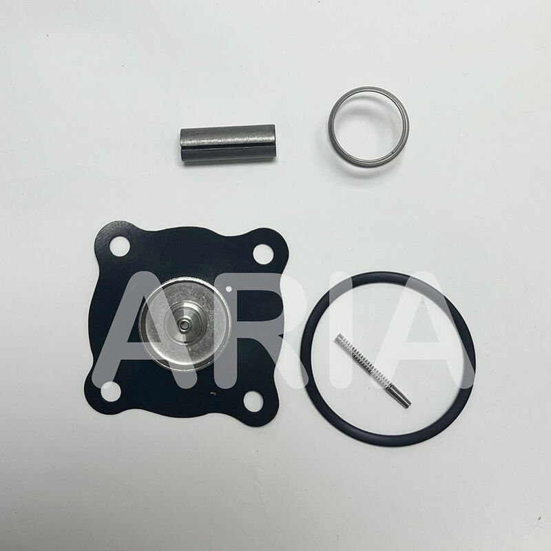 Kit de réparation pour électrovanne d'eau ASCO K302273 Diaphragme Ressort pilote Joint torique K302277 C123670 K302276 SCE210D009 8210G009 D095A