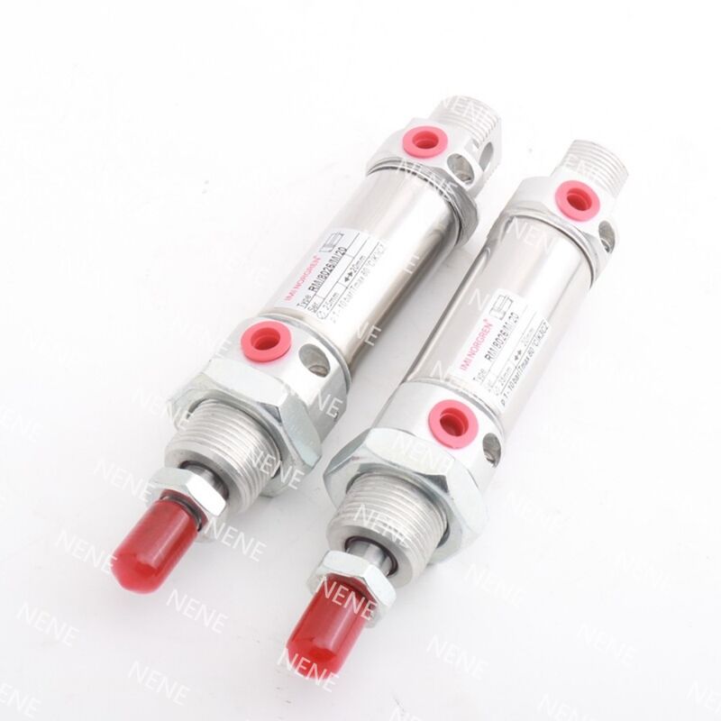 Course Long Ø10mm 100mm RM/28010/100 NORGREN Actionneur Pneumatique Compact Simple Effet Option Magnétique